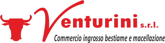 logo Venturini srl